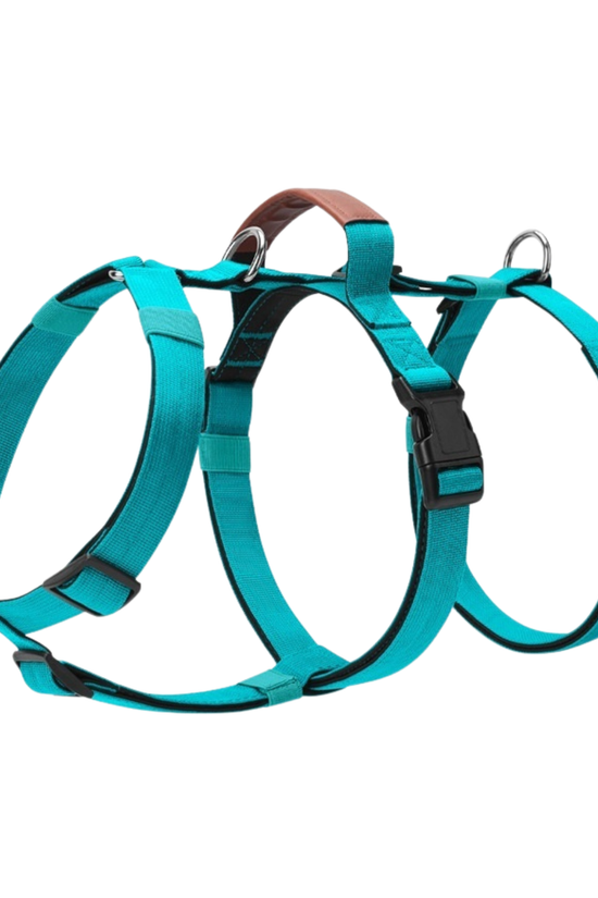 PupGuard - Dog Harness