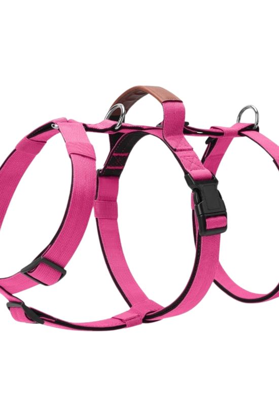 PupGuard - Dog Harness