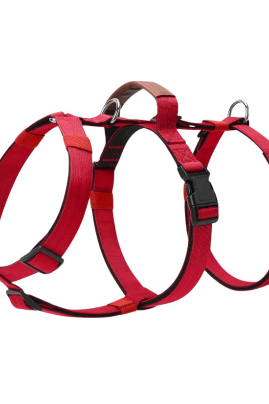 PupGuard - Dog Harness